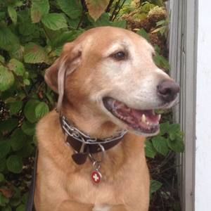 Meet your Posher, Jacqueline